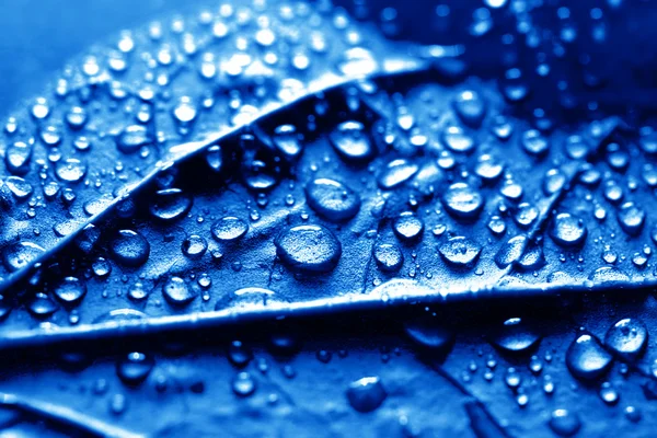 Čisté Modré Kapky Vody Makro Pozadí — Stock fotografie