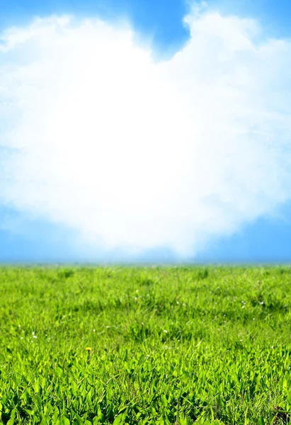 Небесная трава — стоковое фото