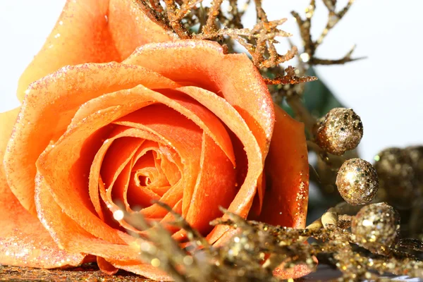 Помаранчеві Троянди Крупним Планом Макросу — стокове фото