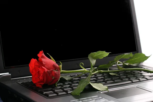 Beautiful Red Rose Black Notebook — Stock Photo, Image