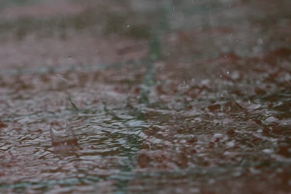 屋外の雨 — ストック写真
