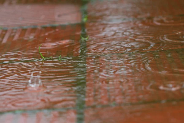 Zewnątrz deszcz — Zdjęcie stockowe