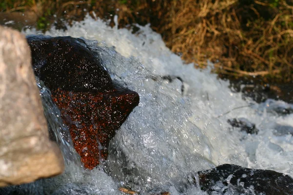 Vattenstänk Floden Natur — Stockfoto