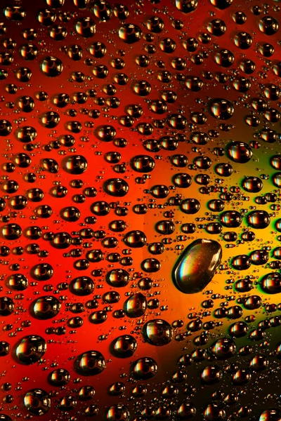빛깔된 물방울 매크로 — 스톡 사진