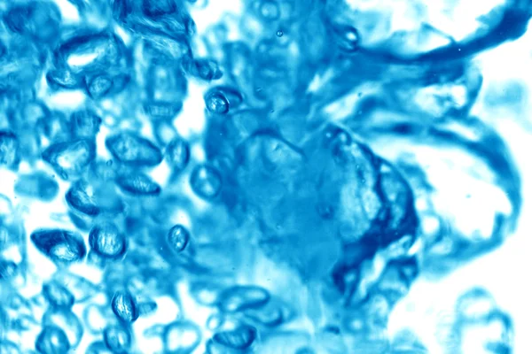 Kék Víz Buborékok Tiszta Háttér — Stock Fotó