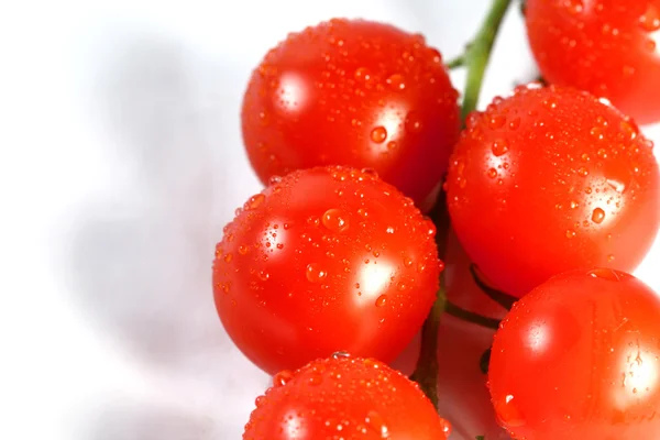 stock image Cherry tomato