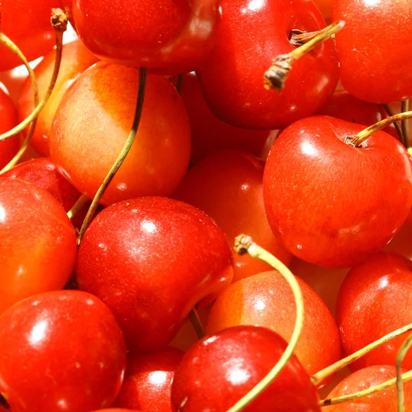 Sweet Red Cherry Macro Close — Stock Photo, Image