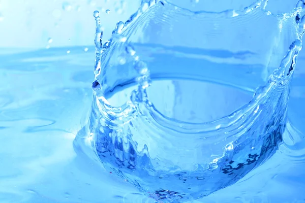 Niebieski Wody Powitalny Makra Bliska — Zdjęcie stockowe