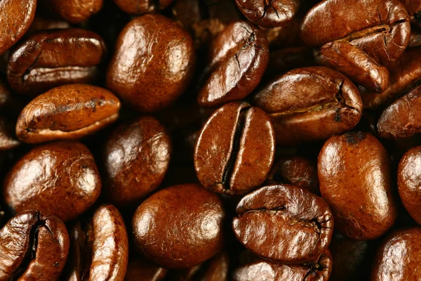 Kahve Çekirdekleri Makro Yakın Çekim — Stockfoto