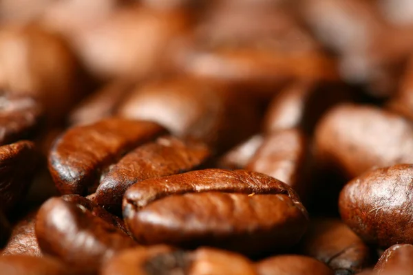 Kaffebönor Makro Närbild — Stockfoto