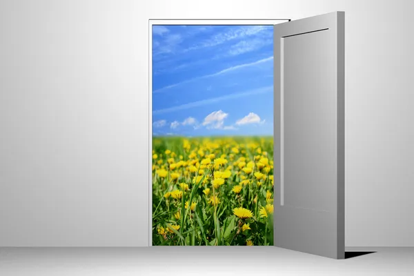 Entrance to green field — Stock Photo, Image