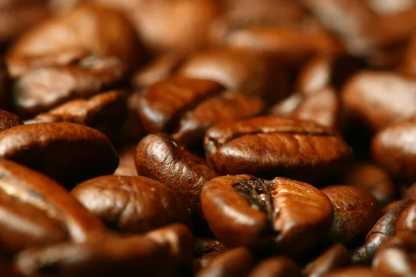 Kahve Çekirdekleri Makro Yakın Çekim — Stok fotoğraf
