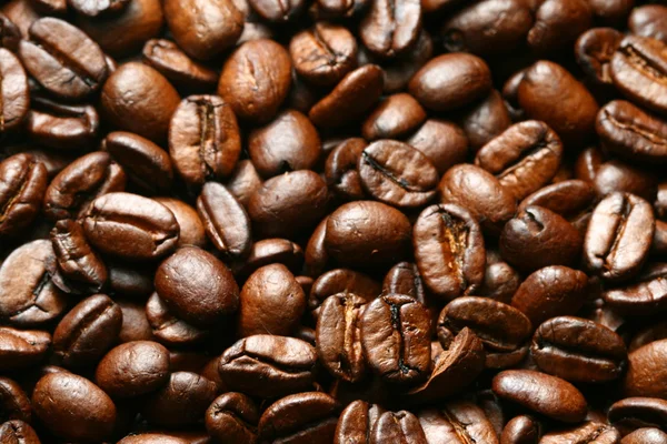 Kahvipavut Makro Lähikuva — kuvapankkivalokuva
