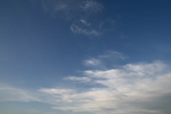 Blu gök — Stok fotoğraf