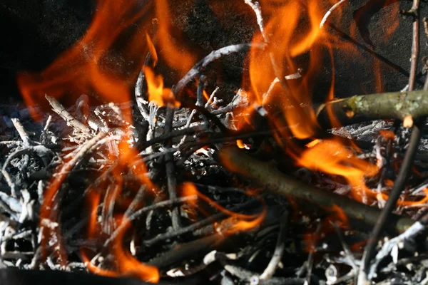 木炭火 — ストック写真