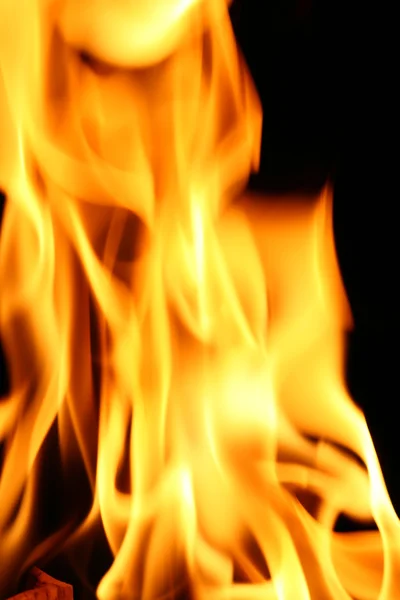 Oheň tapeta — Stock fotografie