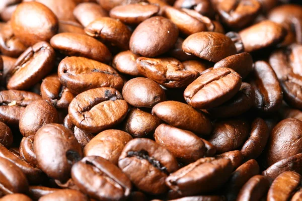 Kahve çekirdeği — Stok fotoğraf