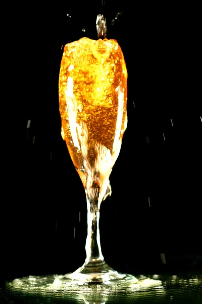 Шампанское — стоковое фото