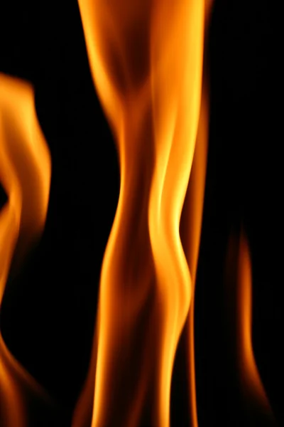 Oheň tapeta — Stock fotografie