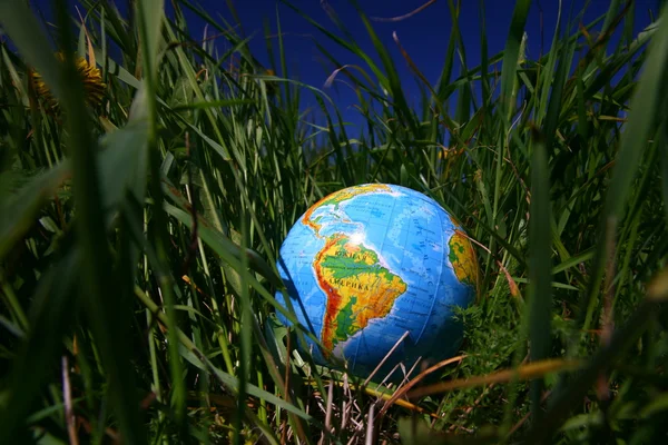 Globe in grass — Stock Photo, Image
