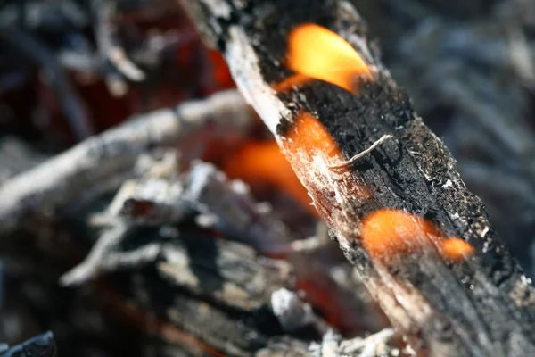 Φωτιά κάρβουνα — Φωτογραφία Αρχείου