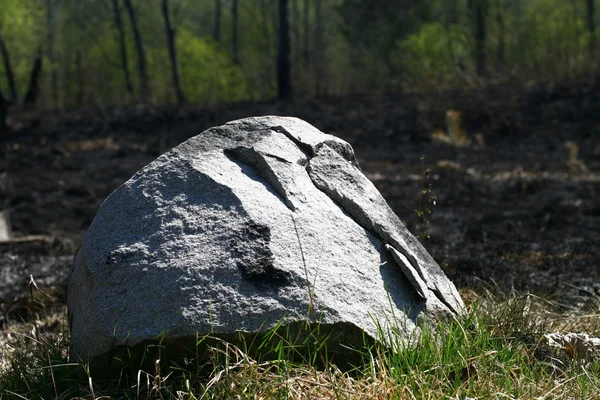 Камень в поле — стоковое фото