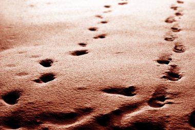Footprints clipart