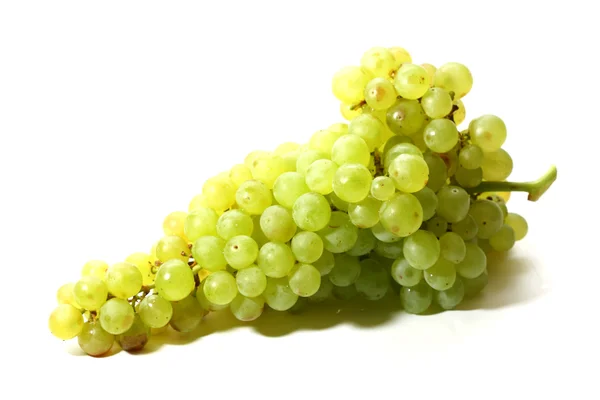 Izolované grape — Stock fotografie