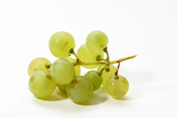 Elszigetelt szőlő — Stock Fotó