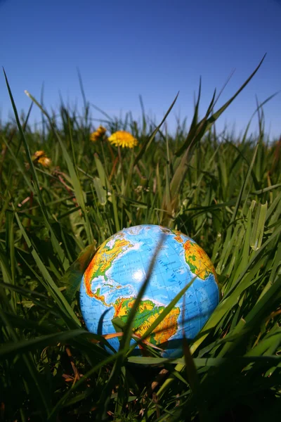 Globe in gras — Stockfoto