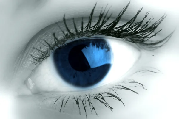 stock image Beautiful blue eye