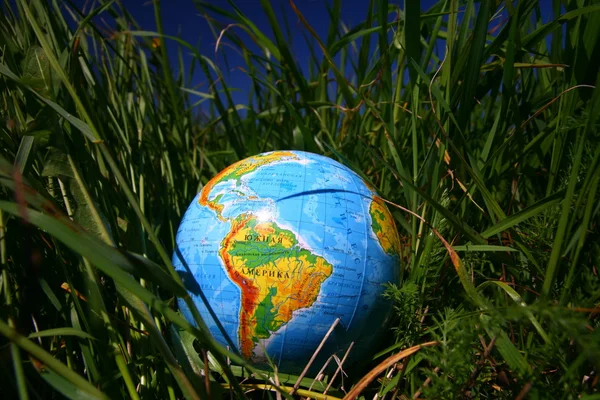 Globe in grass — Stock Photo, Image