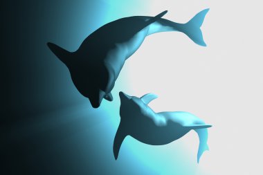 Dolphins clipart