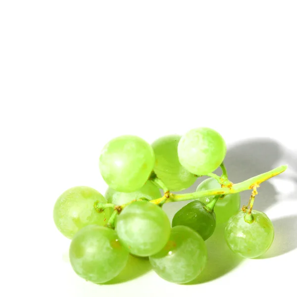 Geïsoleerde druif — Stockfoto