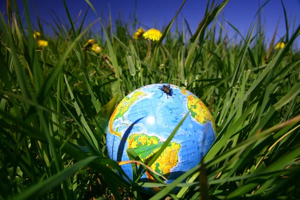 Глобус в траве — стоковое фото