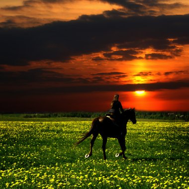 Rider Silhouette on Horseback clipart