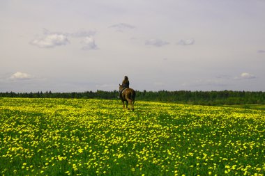 Horse rider clipart