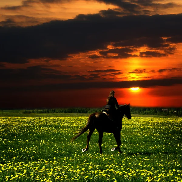 Sílhueta de cavaleiro a cavalo — Fotografia de Stock