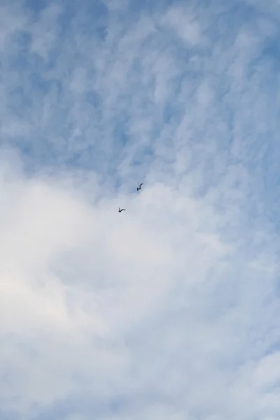 stock image Blue sky