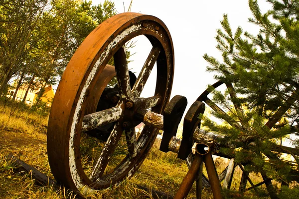 Старые деревянные колеса стоял с травой & деревья background.jpg — стоковое фото