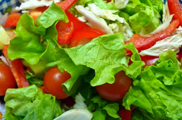 Салат из огурцов, перца, помидоров, зеленого салата — стоковое фото