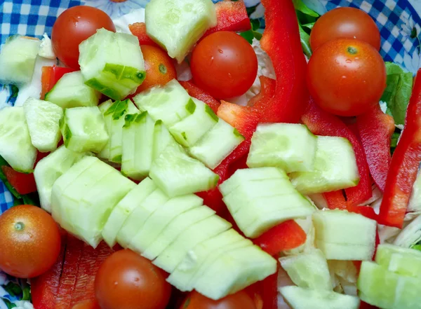 Ensalada de verduras de pepinos, pimienta, tomates, cebollas — Foto de Stock