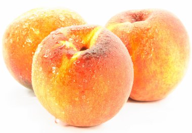 Picture of three peaches grew in Ontario with water drops over. clipart