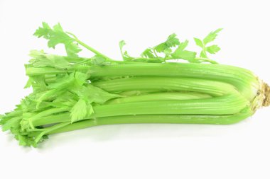 Celery leaves and stalks. clipart