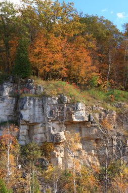 Niagara Eğimli yüzey kaya yapısı ve büyüyen üzerinde ve fron bu ağaçlar çalılar ve çim.