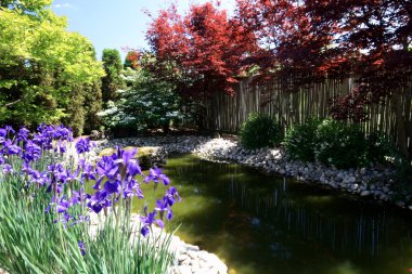 Still Picture of colourful arranged Japanese style garden with flowers, bushes, blossoms trees, pond and river rocks and small fontain in the stone. clipart