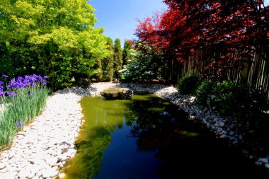 Still Picture general view of colourful arranged Japanese style garden with flowers, bushes, blossoms trees, pond and river rocks and small fontain in the stone clipart