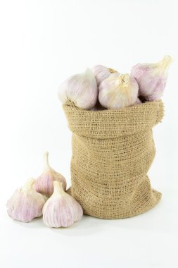 Still picture of Argentinean Garlic bulbs in burlap bag and pile over white background. clipart