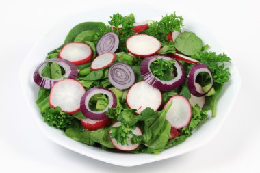 Still life picture of mixed Salad from Organic Baby Spinach, Radishes, Fresh Onion, and Curley Parsley decorated with red onion slices in white porcelain plate clipart