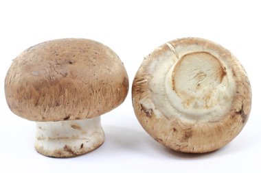 Still life macro picture of two organic Cremini (brown, or dark) mushrooms caps and stalks over white background. clipart